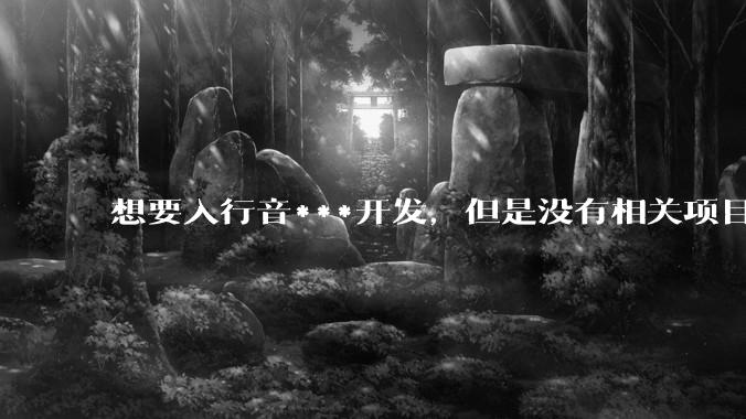 想要入行音***开发，但是没有相关项目经验怎么办？