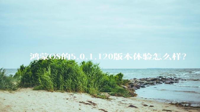 鸿蒙OS的5.0.1.120版本体验怎么样？