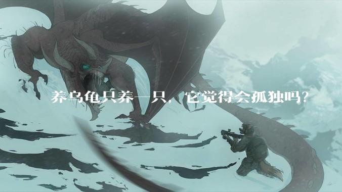 养乌龟只养一只，它觉得会孤独吗？