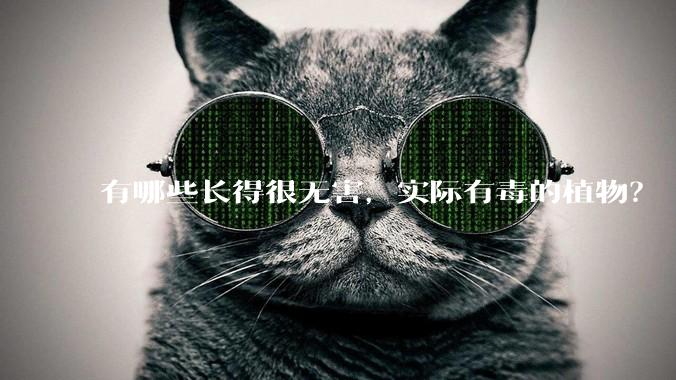 有哪些长得很无害，实际有毒的植物？