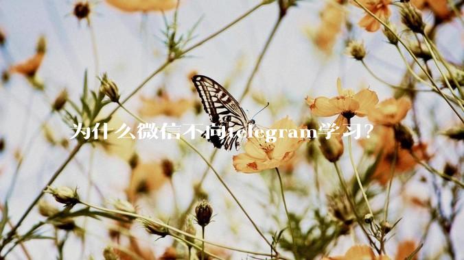 为什么微信不向telegram学习？
