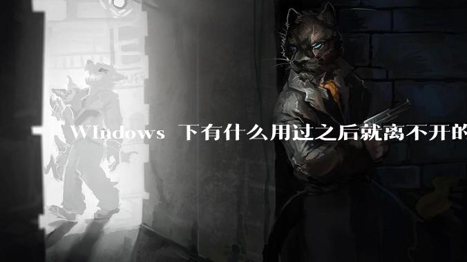 Windows 下有什么用过之后就离不开的冷门软件？