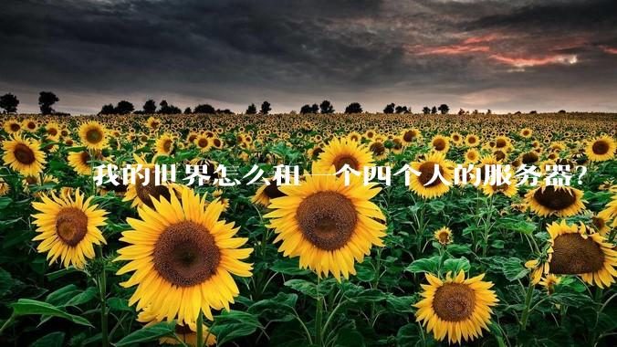 我的世界怎么租一个四个人的服务器？