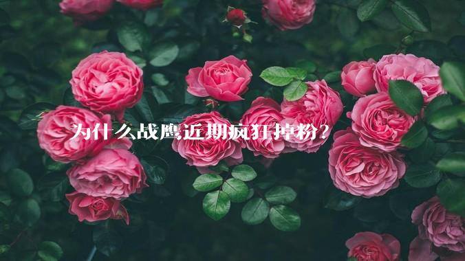 为什么战鹰近期疯狂掉粉？